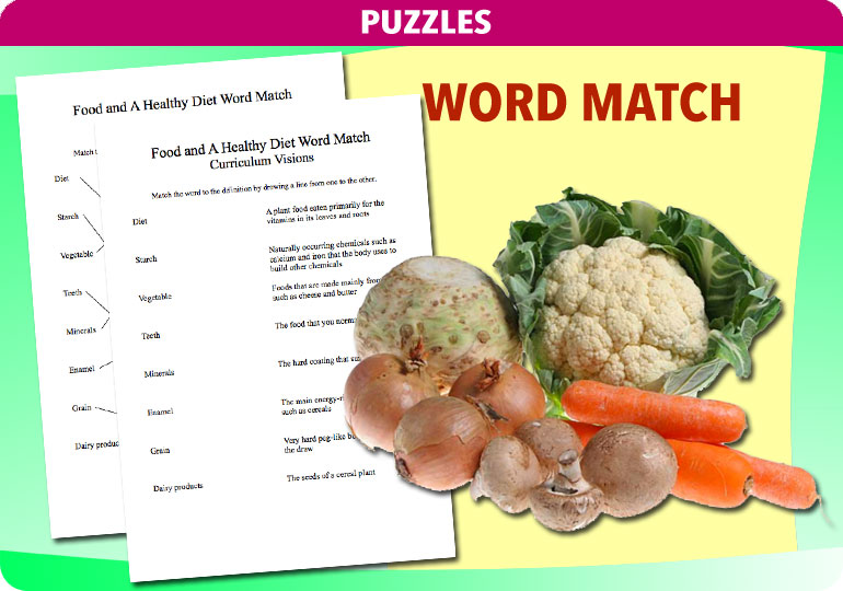 Curriculum Visions teacher magnets and springs resource