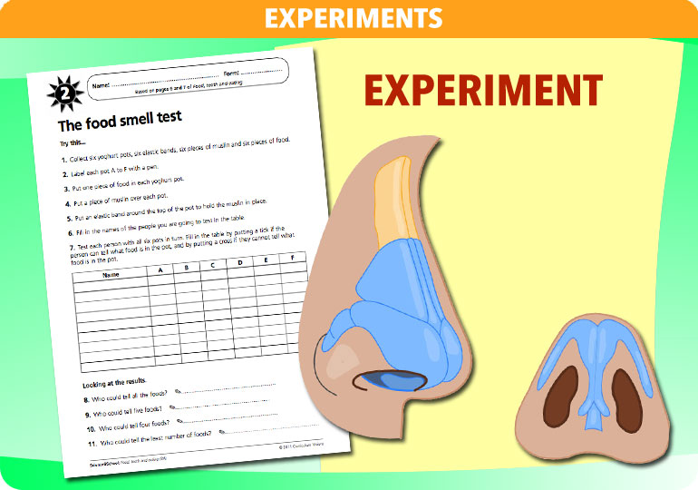 Curriculum Visions teacher coast, oceans and seaside geography resource