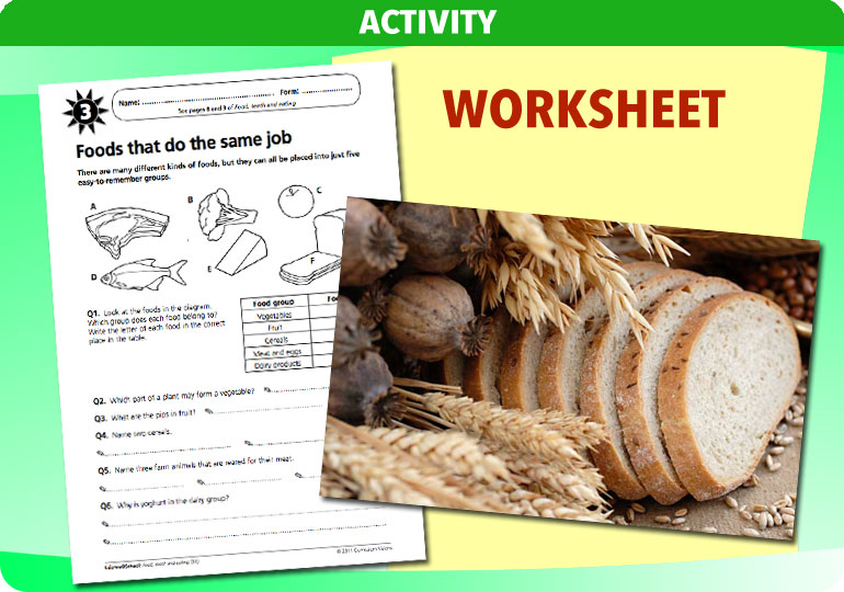 Curriculum Visions teacher coast, oceans and seaside geography resource