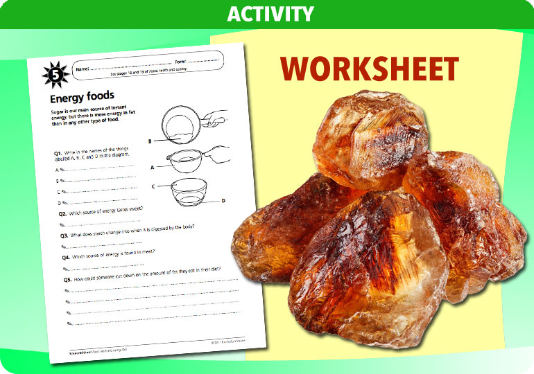 Curriculum Visions teacher coast, oceans and seaside geography resource