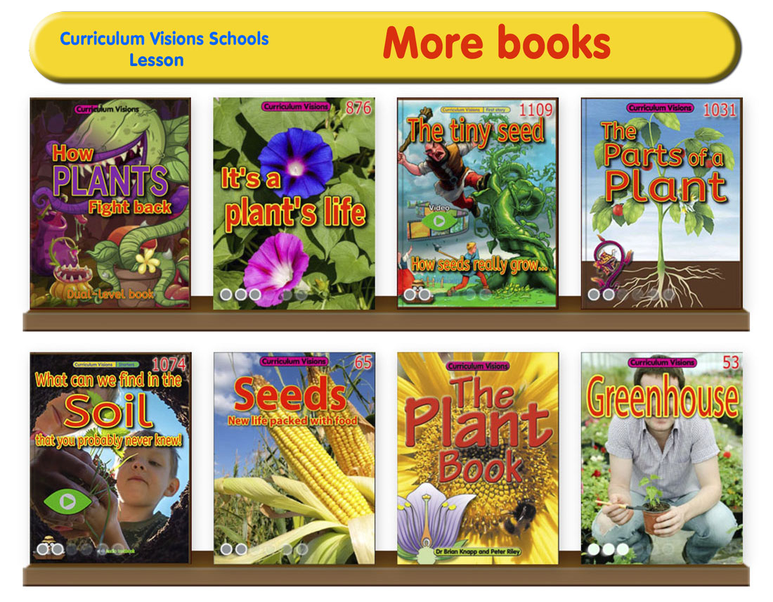 Curated library shelves