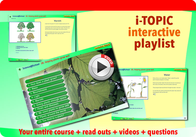 Interactive presentation