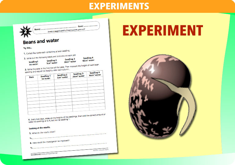 Curriculum Visions teacher helping plants grow resource
