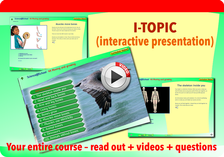 Interactive presentation