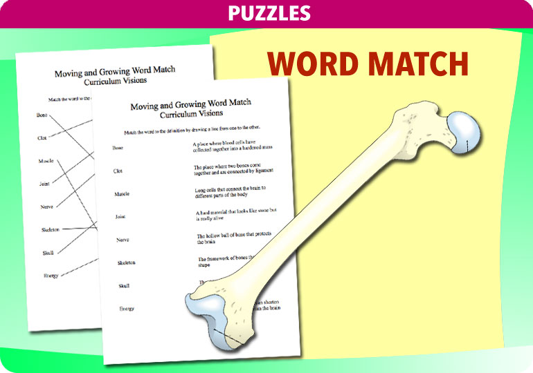Curriculum Visions teacher moving and growing resource