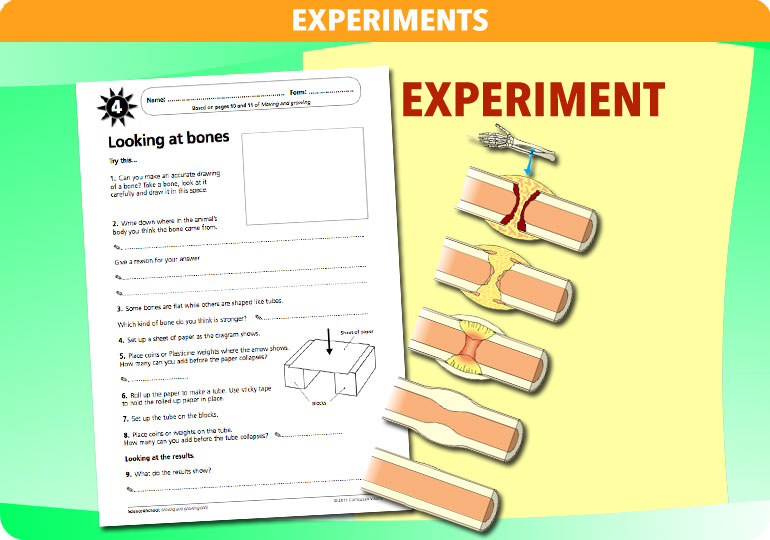 Curriculum Visions teacher moving and growing resource