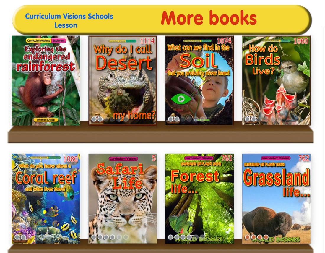 Curated library shelves