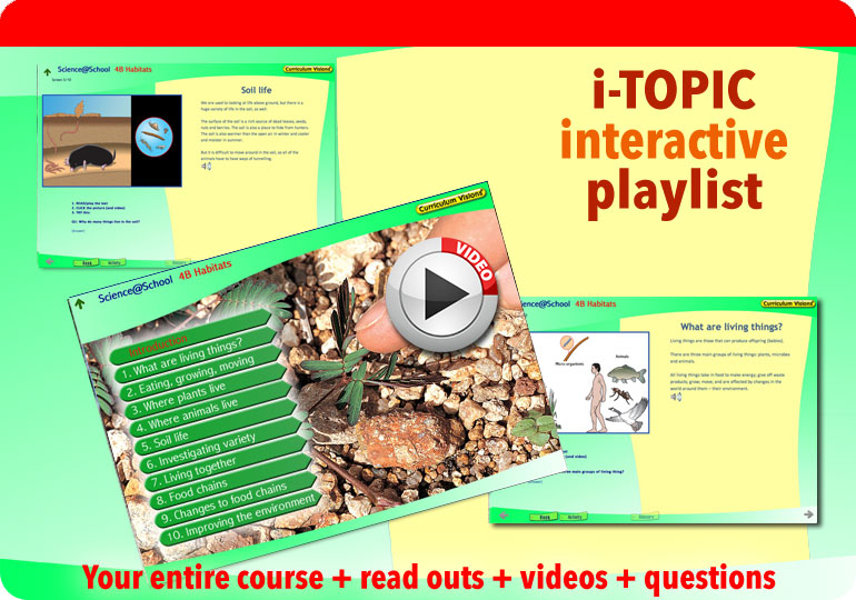 Interactive presentation