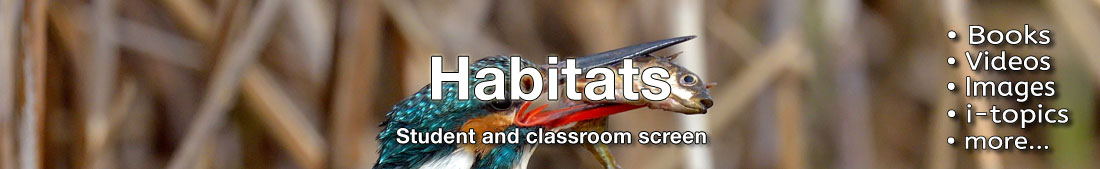 Science topic banner