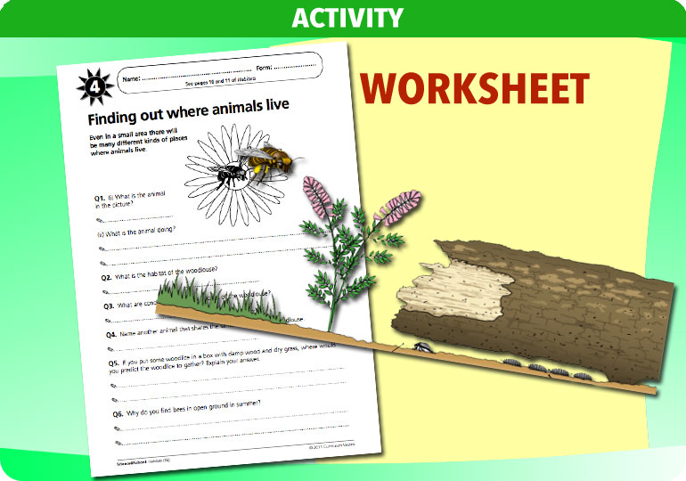 Curriculum Visions teacherhabitats resource