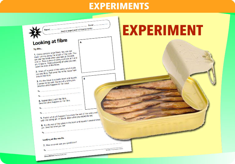 Curriculum Visions teacher keeping healthy resource