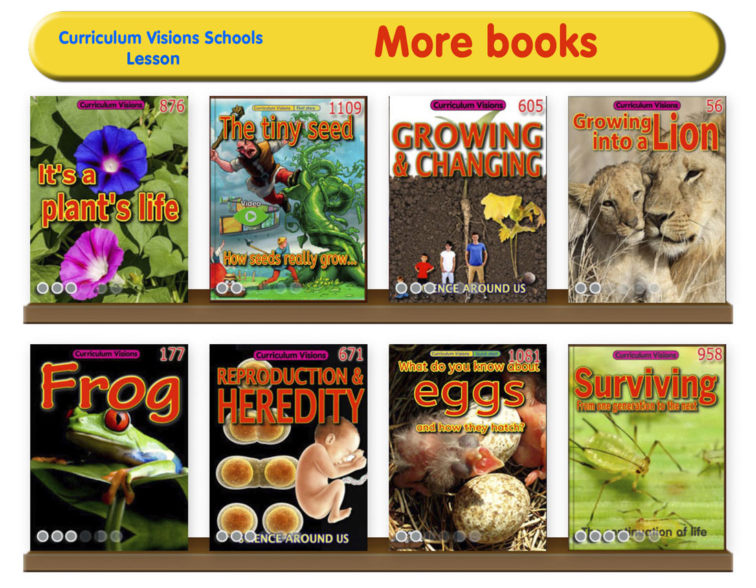 Curated library shelves