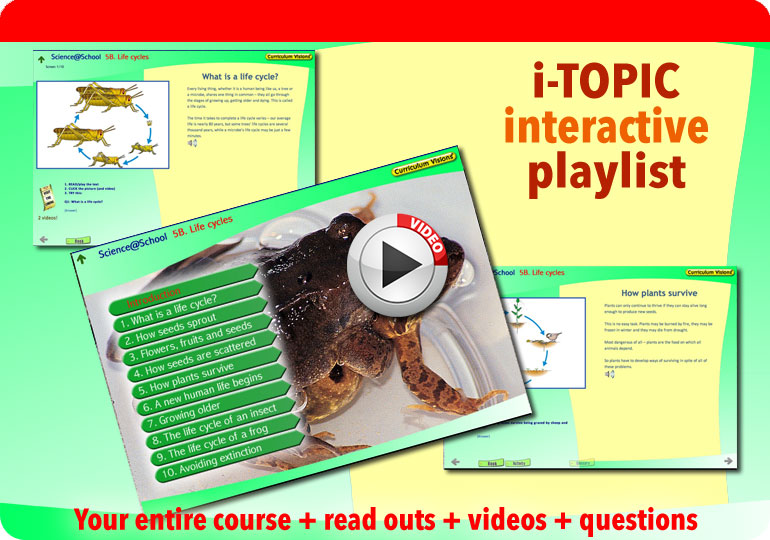 Interactive presentation