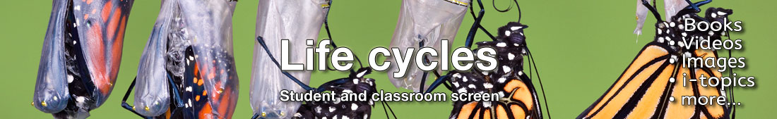 Science topic banner
