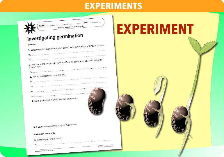 Curriculum Visions teacher life cycles resource