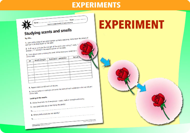 Curriculum Visions teacher gases around us resource