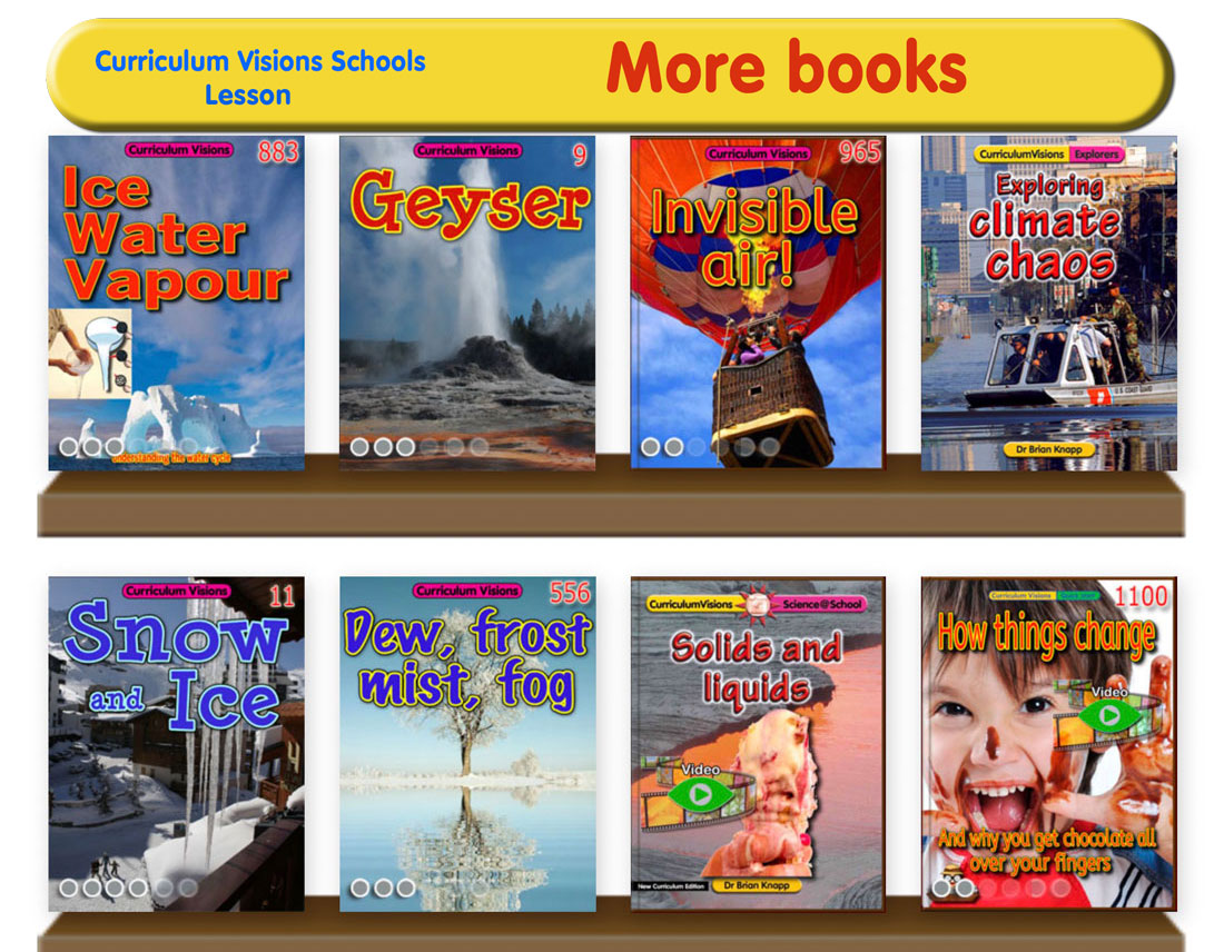 Curated library shelves