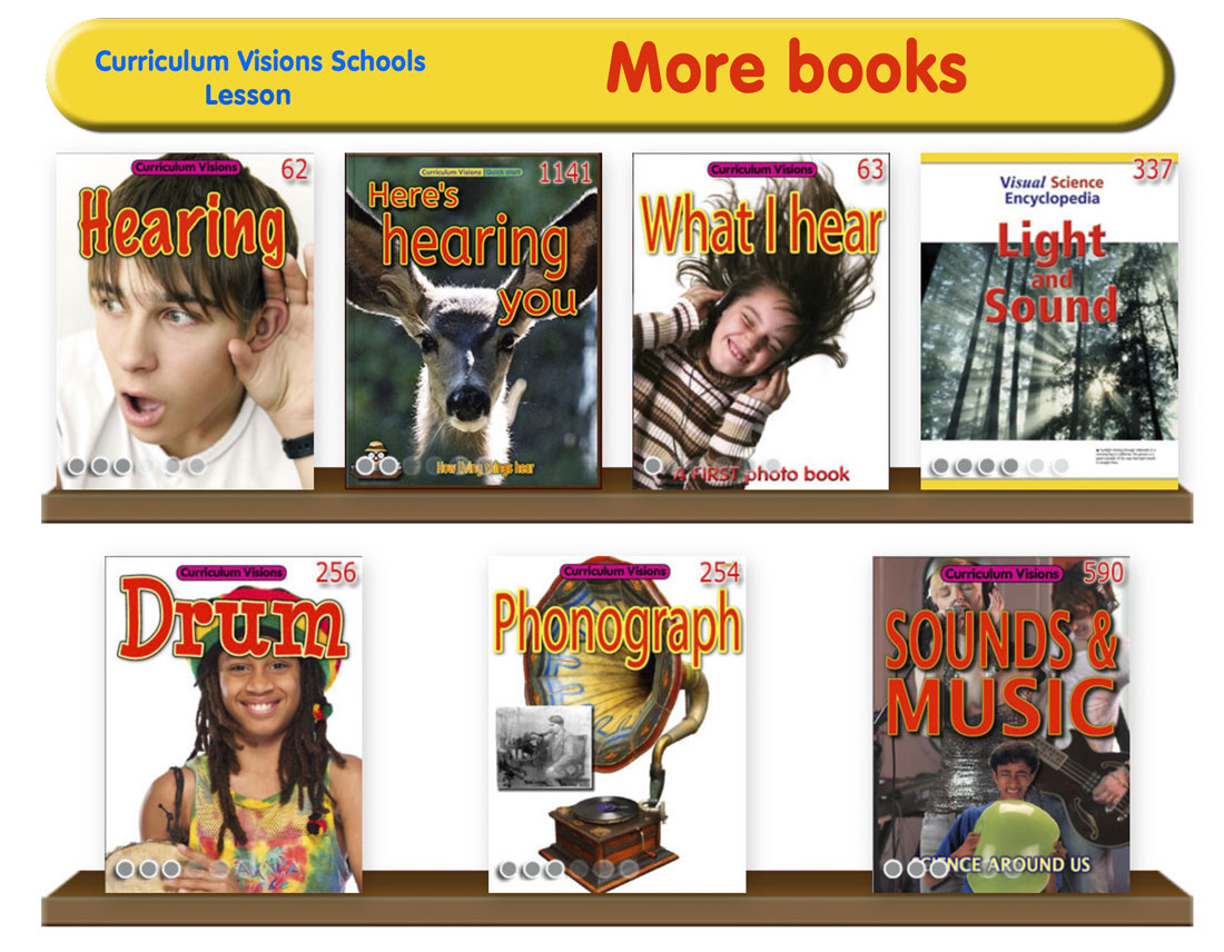 Curated library shelves