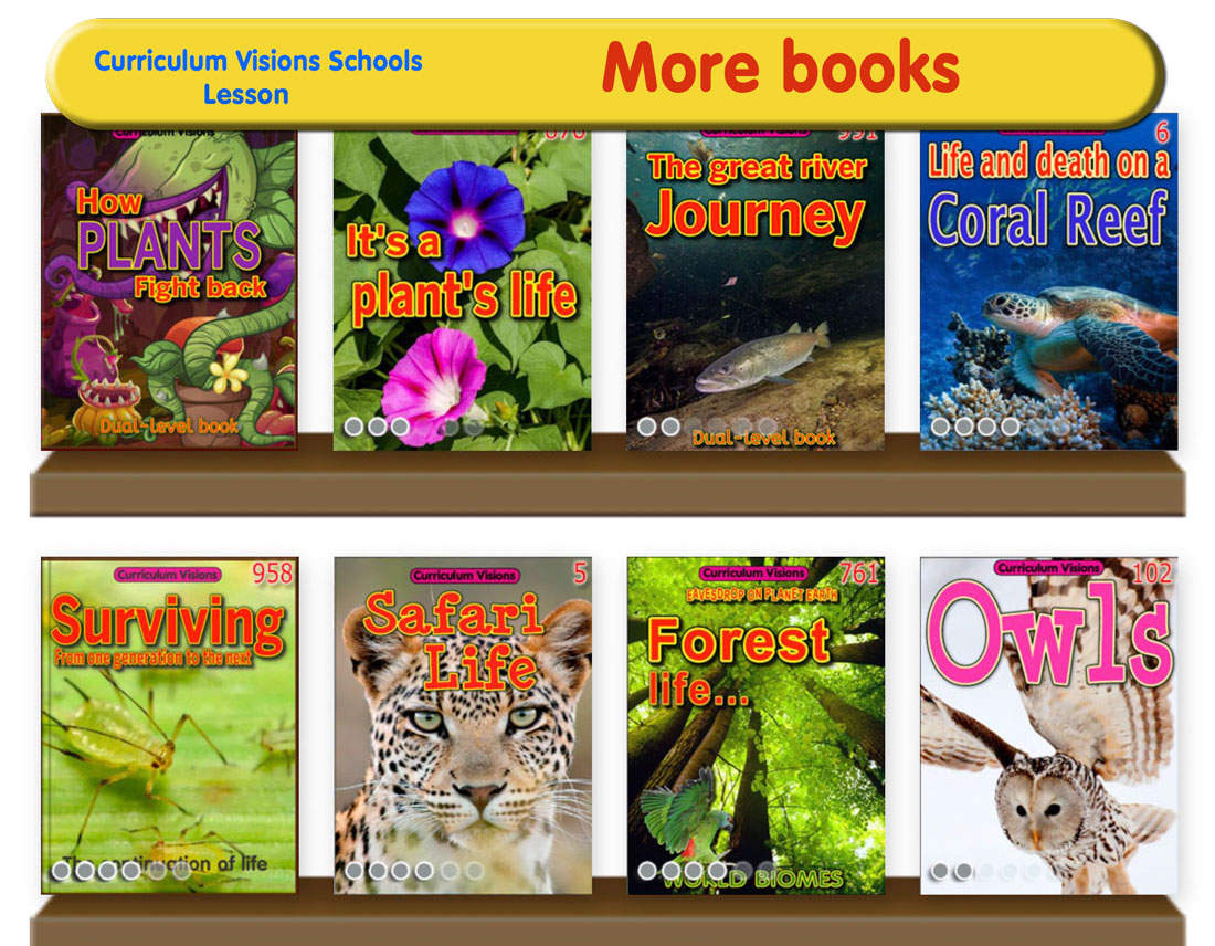 Curated library shelves