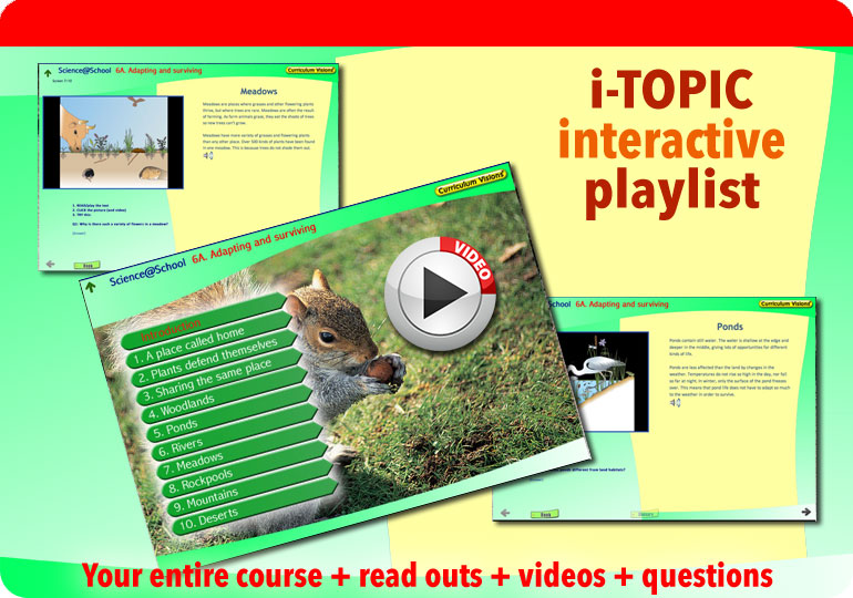 Interactive presentation