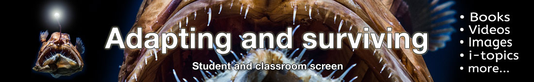 Science topic banner