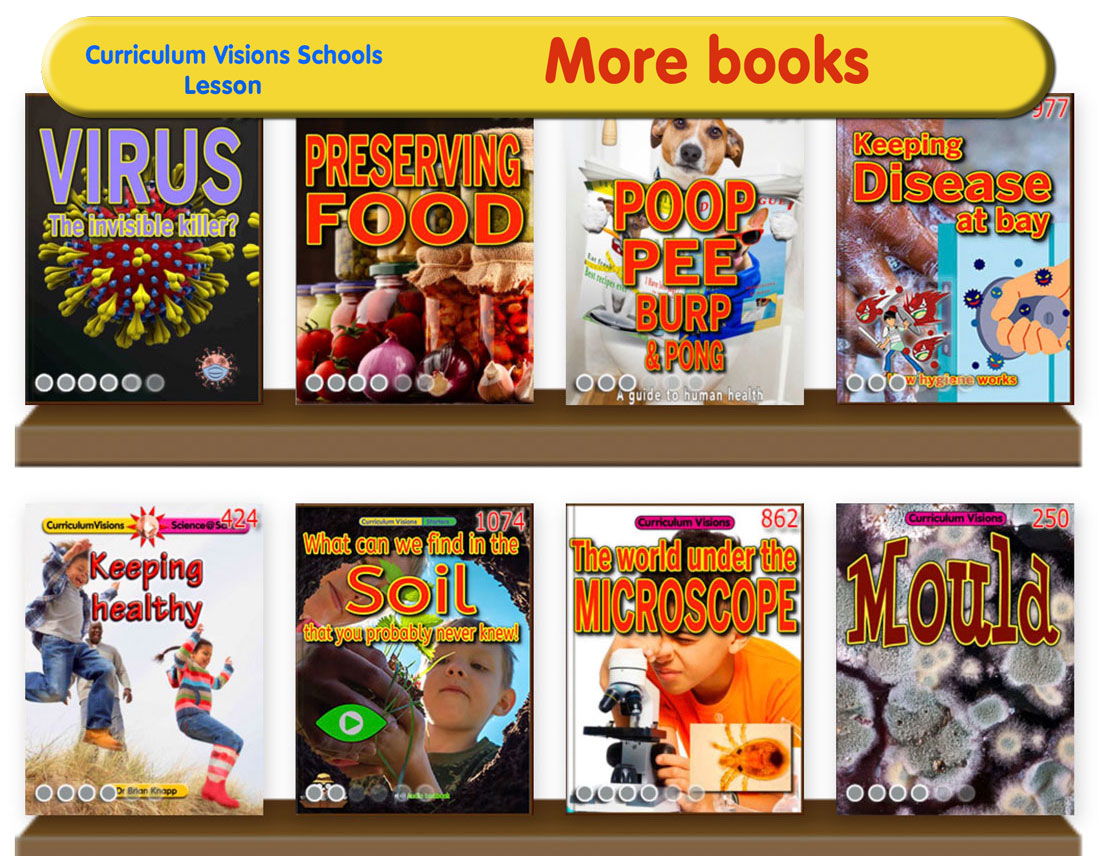 Curated library shelves