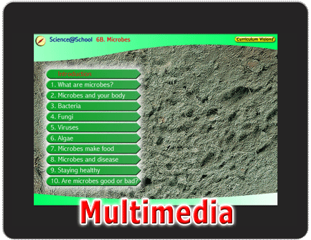 Interactive presentation