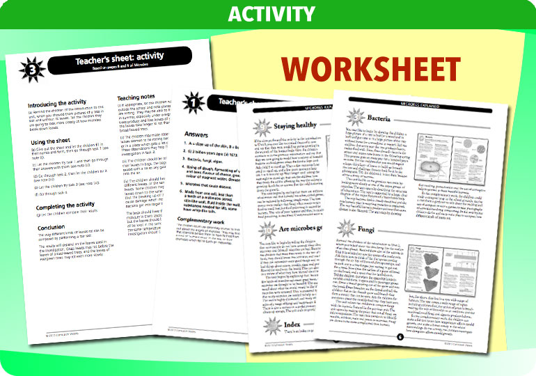 Curriculum Visions teacher microbes resource
