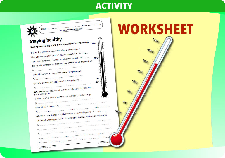 Curriculum Visions teacher microbes resource