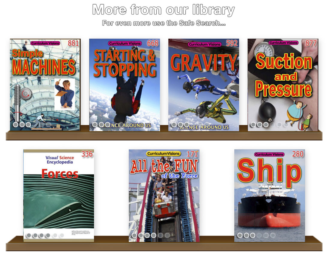 Curated library shelves