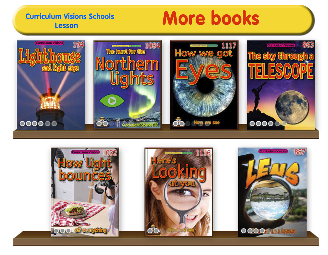 Curated library shelves