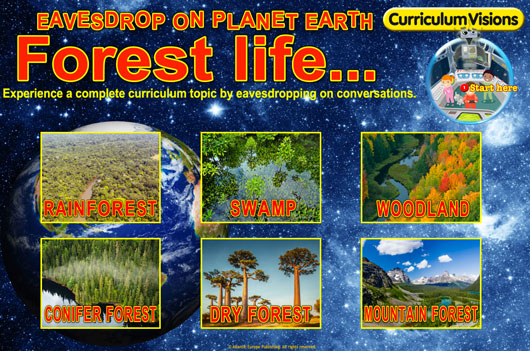 Eavesdrop on the Forest biome