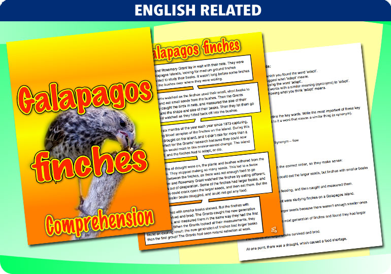 Curriculum Visions teacher dinosaurs, fossils, evolution, science history geography resource