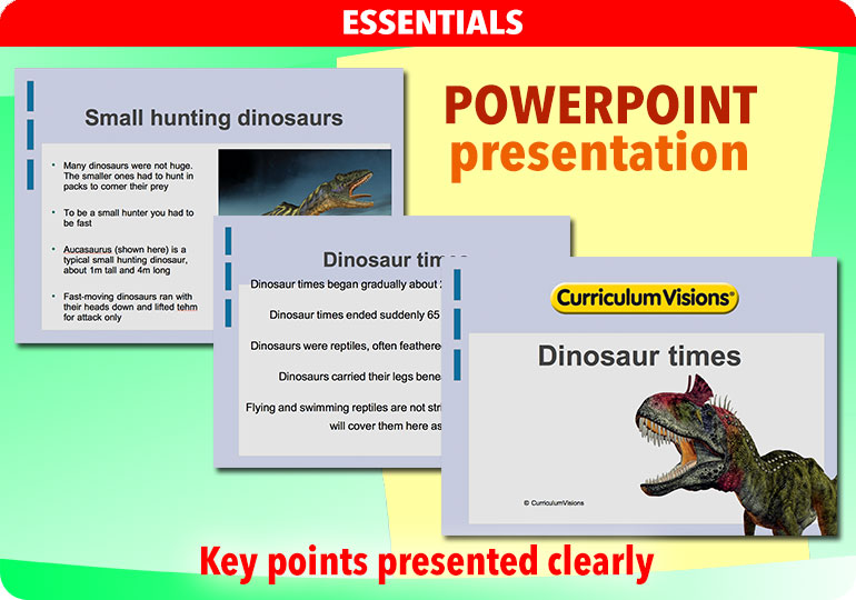 Curriculum Visions teacher dinosaurs, fossils, evolution, science history geography resource