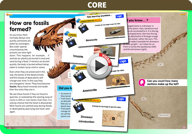 Curriculum Visions teacher dinosaurs, fossils, evolution, science history geography resource