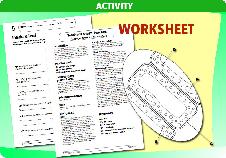 Curriculum Visions teacher the human body science resource