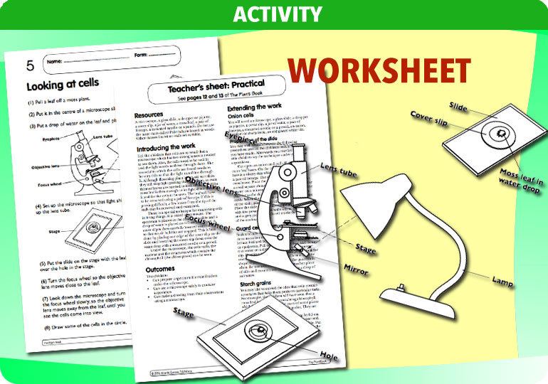 Curriculum Visions teacher the human body science resource