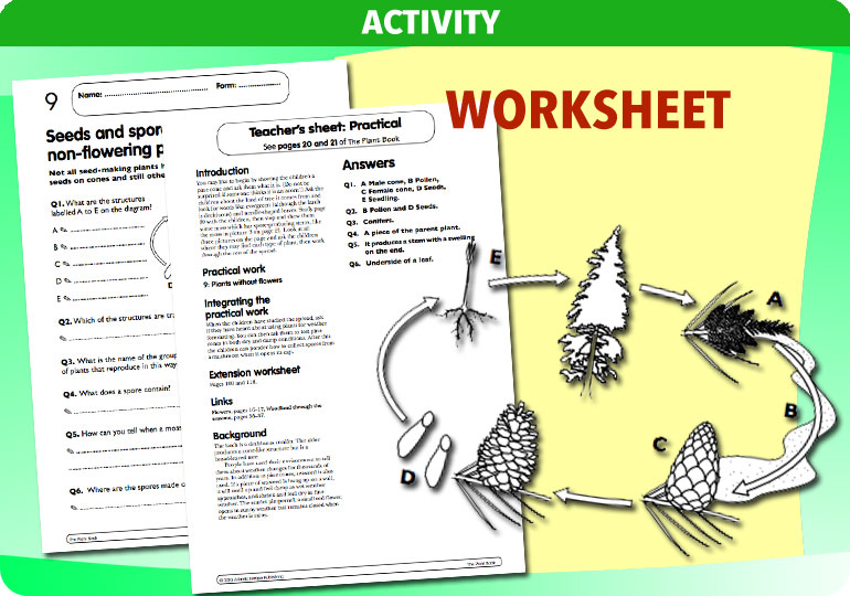 Curriculum Visions teacher the human body science resource