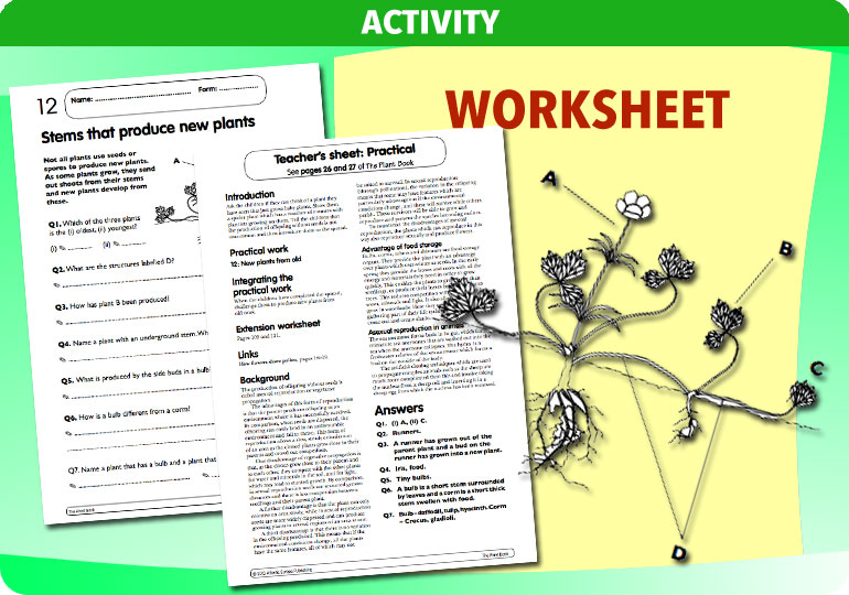 Curriculum Visions teacher the human body science resource