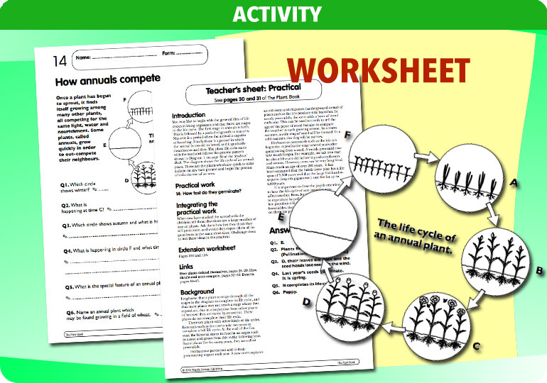 Curriculum Visions teacher the human body science resource