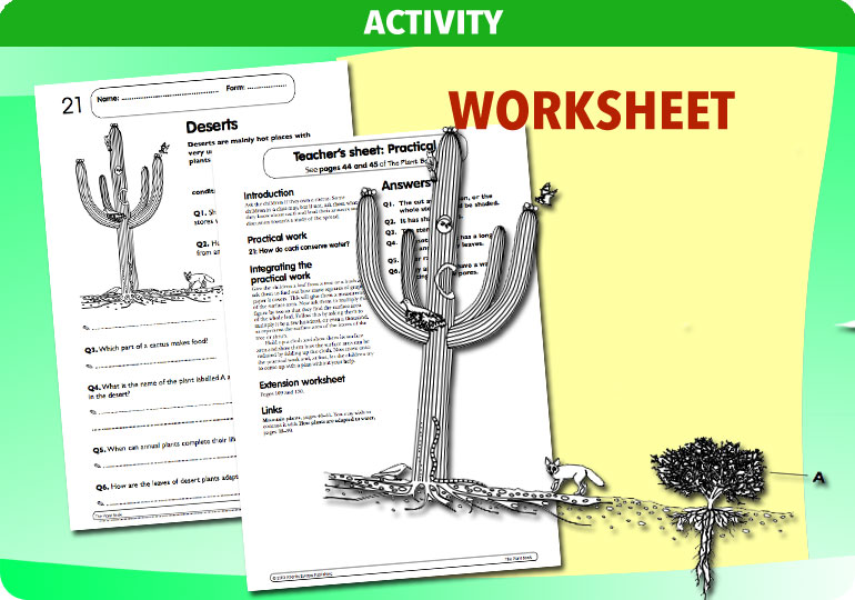 Curriculum Visions teacher the human body science resource