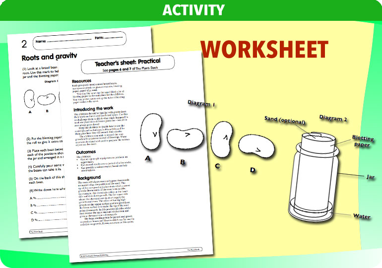 Curriculum Visions teacher the human body science resource