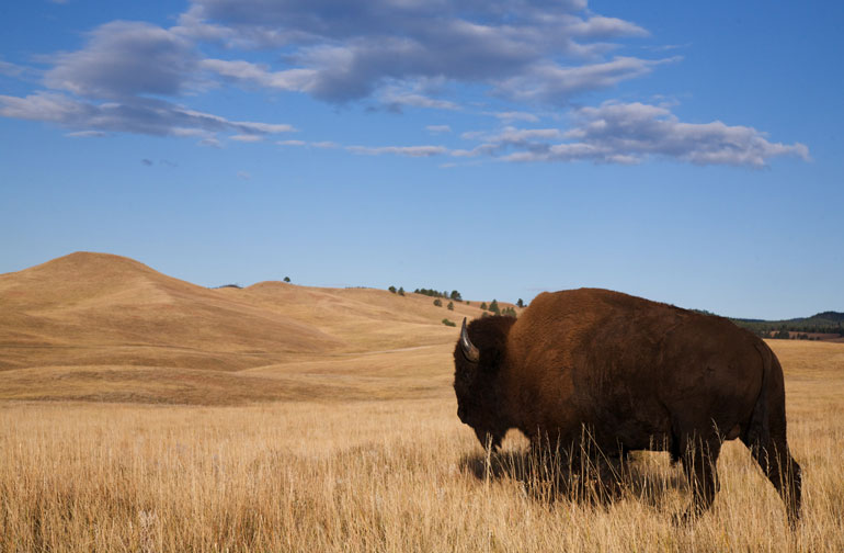 What is meant by the Great Plains? The Great Plains is the large area