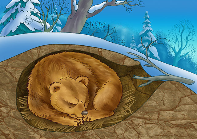 What Is Hibernation Hibernation Is A Special Kind Of Resting State For 